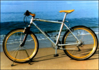 Location de vélos à l'Île d'Elba ElbaService