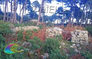 Chiesa di Santa Maria alle Piane al Canale