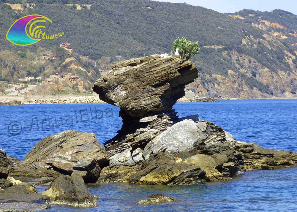 Spiaggia del Porticciolo Rio Marina