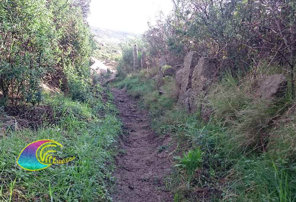 Chemin vers Castancoli
