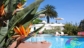 Piscina Hotel Gallo Nero