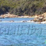 Plage de Porticciolo Procchio