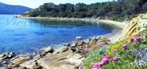 La Spiaggiola della Guardiola Procchio