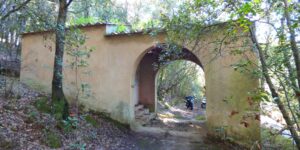 Madonna del Buon Consiglio