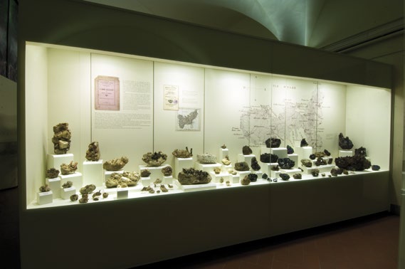 La vitrine dédiée à la collection de minéraux d'Elbe Musée d'Histoire Naturelle de l'Université de Florence - Géologie de l'Île d'Elbe