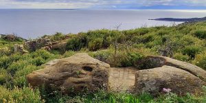 Macina Antica in granito di Cavoli