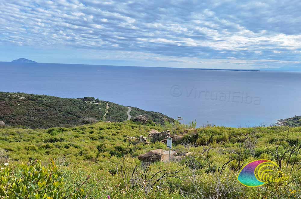 Ancienne meule en granit de Cavoli