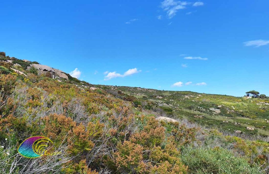 La Cabane de Marco vue de l'Ancienne Carrière de Grottarelle