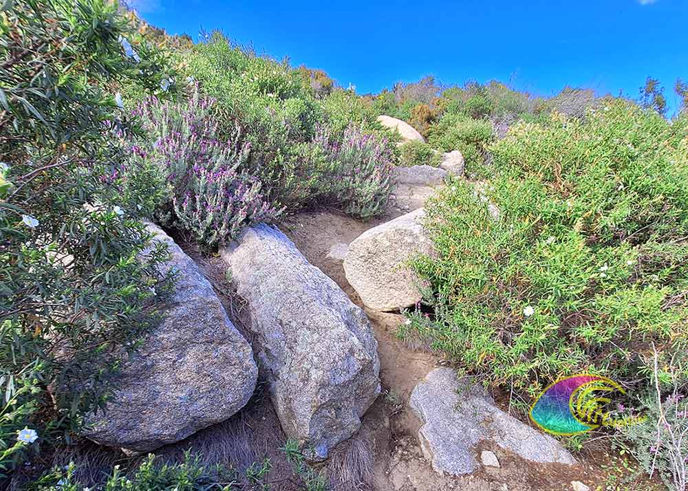 Des colonnes de granit - Ancienne carrière Grottarelle