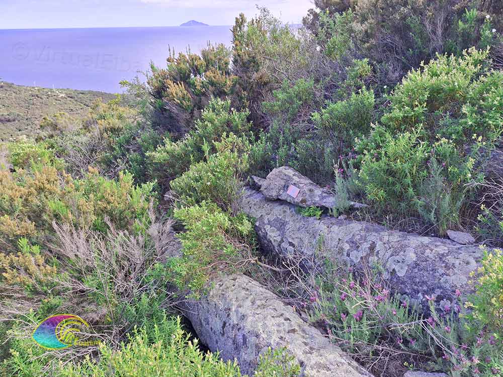 Ancienne carrière de Grottarelle